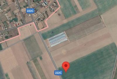 Teren agricol Iazurile, Jud. Tulcea - 6