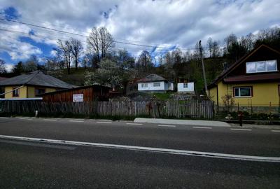 Teren 711mp Hangu / DN GROZAVESTI - 7