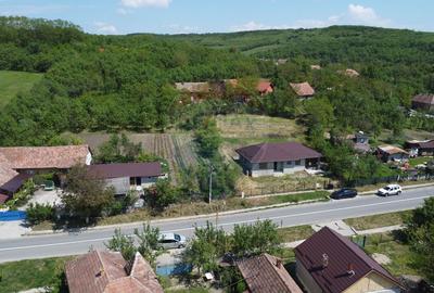 Casă individuală nouă de vânzare în Răscruci - 2