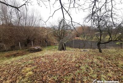 Ocazie! Teren intravilan cu utilități  in Aiton la 30 min. de centru Cluj-Napoca - 12