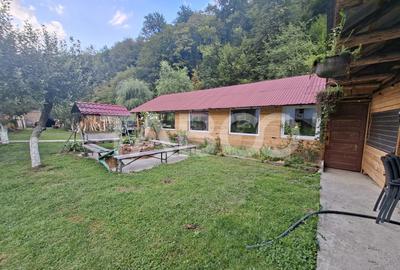 Spatiu de vanzare in Valea Macesului judel Valcea iesire la Lotru - 33