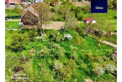 Teren Intravilan cu cabana  in satul transilvanean Alma - 5