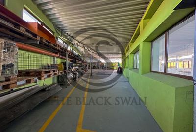 Spațiu/Hala de inchiriat | 800 mpu | Magurele - Prahova | Comision 0% - 16