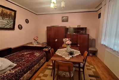 Bocsa Vasiova, Casa cocheta pentru familie, cu Gradina. - 19