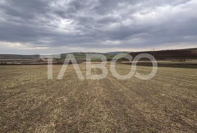 Teren de vanzare Sura Mare 24000 mp OPORTUNITATE INVESTITIE - 5