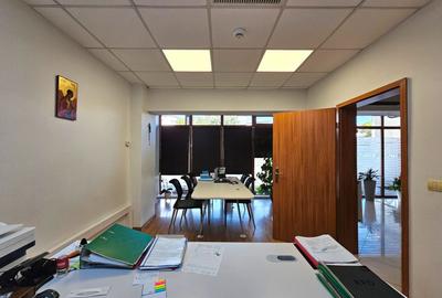 Hale Industriale 5065 mp de vanzare Str. Bradului - Bacau - 14