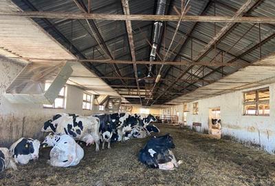 Vand ferma bovine situata in judetul Buzau - 2