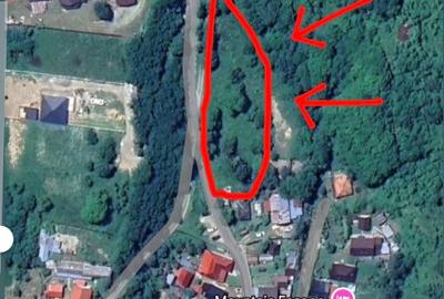 Proprietate intravilană - 2.298 mp - Mălaia, jud. Vâlcea - 1