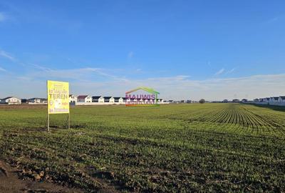 Loturi de 459 mp cu PUZ  in comuna Berceni Str Miorita. - 1