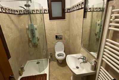 Pantelimon-Cernica, vila cu 6 camere de vanzare, 284 mp construiti - 11
