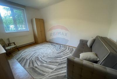 Apartament 2 camere de inchiriat in zona Nicolae Titulescu - 2