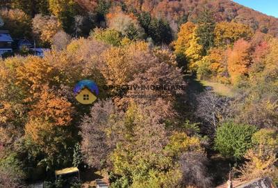 Teren intravilan de vânzare – Piatra Neamț - 5