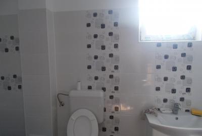 Sos. Giurgiului, birouri, productie, 250mp, Ilfov - 2