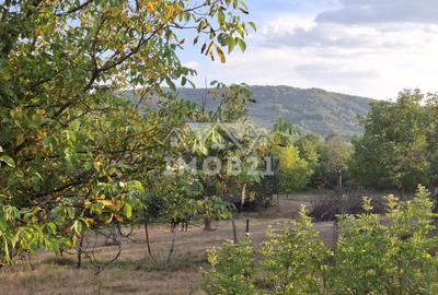 Teren spectaculos cu padure, livada si priveliste panoramica in Soimari PH - 7