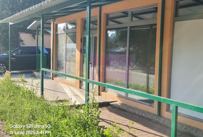 VANZARE CASA OASPETI + ANEXE IN  SAT TEISORI (JUD. GIURGIU) - 7