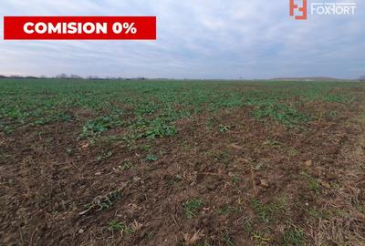 COMISION 0% Teren extravilan 20.000 mp la sosea in Sag - 6