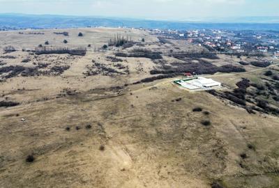 Teren agricol extravilan de vânzare – 67.500 mp – Dealul Daii, Sibiu - 10