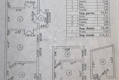 Casă individuală cu 9 camere în Parcul Carol