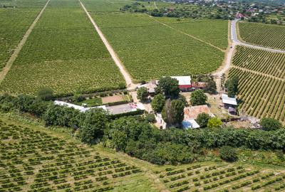 Cramă complet funcțională in inima Podgoriei Odobești - 2