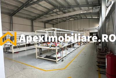 Hala Industrială Malu Rosu Ploiesti 550 mp + Birouri | Parcare 20 | Acces TIR | - 21