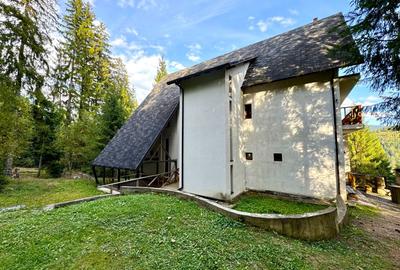 Liniște și natură în inima Bucovinei - 5