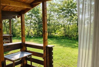Transilvania Camping, domeniu de 14.400mp,Sanmarghita de Mures:2cladiri, apartam - 12