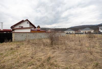 Teren Primaverii Rasnov | 627 mp - 11