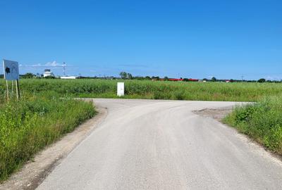 Oportunitate Unică! Teren de Vânzare aproape de Pădure – Ciolpani Izvorani - 1