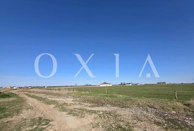 AX1214 Giroc, 15 Parcele disponibile pentru dezvoltare imobiliara, D/S+P+1E+M/Er - 4