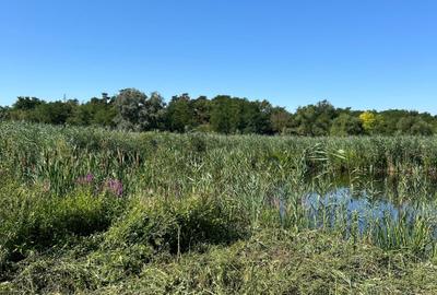 Teren cu deschidere la lac strada Orhideelor- conectare imediata la curent - 9