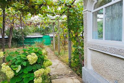 Proprietate Roznov,casa+anexe+teren 3630 mp - 11