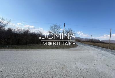 Vânzare teren cu dublă deschidere, situat în comuna Lelești, sat Lelești - 5