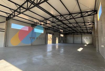 Hale de vânzare – 600 mp, open space, acces TIR, zona intrare Baciu - 3
