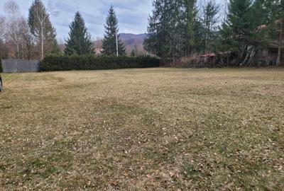 Cabana de vanzare ,Valea Avrigului/ 3000 mp/Langa padure - 22