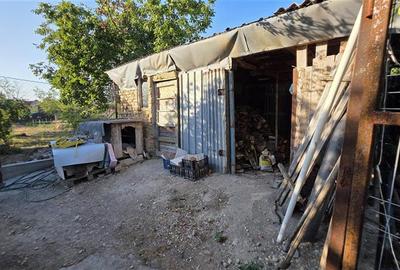 Casa Pustinis 2 camere - 17