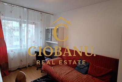 Apartament 3 camere DECOMANDAT etaj 2/4 de vanzare zona Lapus Arges - 9