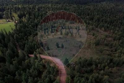 Teren extravilan parcelabil Călățele Pădure, zona Dealu Negru - 18
