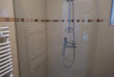 Apartament 1 Camera Moara de Vant - 390 euro - 10