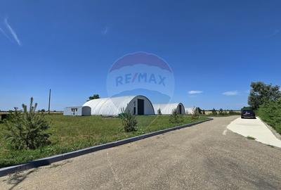 Spațiu industrial, de 1,400 mp, în Potigrafu