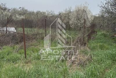 Casă unifamilială în Remetea Mare  cu teren de 3383 mp. - 13