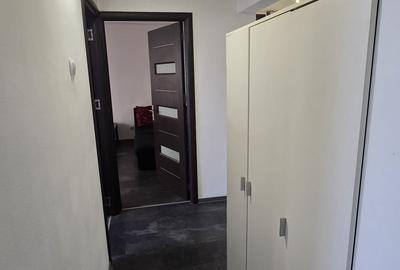 Vanzare apartament 3 camere decomandat, 5 minute metrou Tineretului, Parc - 13