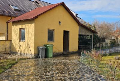 Vila individuala 7 camere | Zona Iancu Nicolae - Serban Cantacuzino | Teren 3250 - 29