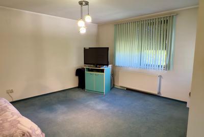 Vila individuala P+1+M cu deschidere la Lacul Snagov, piscina, sauna, ponton ! - 46