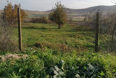 Nicolae Balcescu - Tulcea, teren cu deschidere 27 ml la drum national - 1