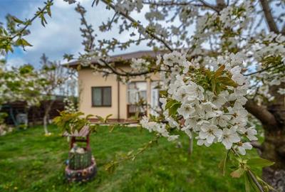 VILA INDIVIDUALA,4 CAMERE,258 MP,TEREN 700 MP,AN 2017 - 32