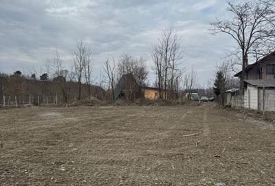 Teren Intravilan - parcelabil - 1.450 mp - Valea Avrigului - 3