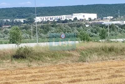 OFERTĂ PREMIUM – Teren intravilan 6.000 mp, Micești (Arges), pe DN 73 - 2