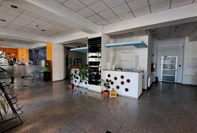 IDEAL INVESTITIE - SPATII DE BIROURI - IDEAL PENTRU INCHIRIERE - 39