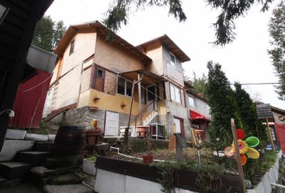 Casă individuală cu 3 camere în Palanca