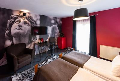 De vanzare Boutique Hotel Rocker's Inn, locatie functionala, zona Cheile Nerei - 7